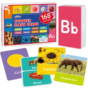 Flash Cards - 84 Double-Sided Educational Flashcards